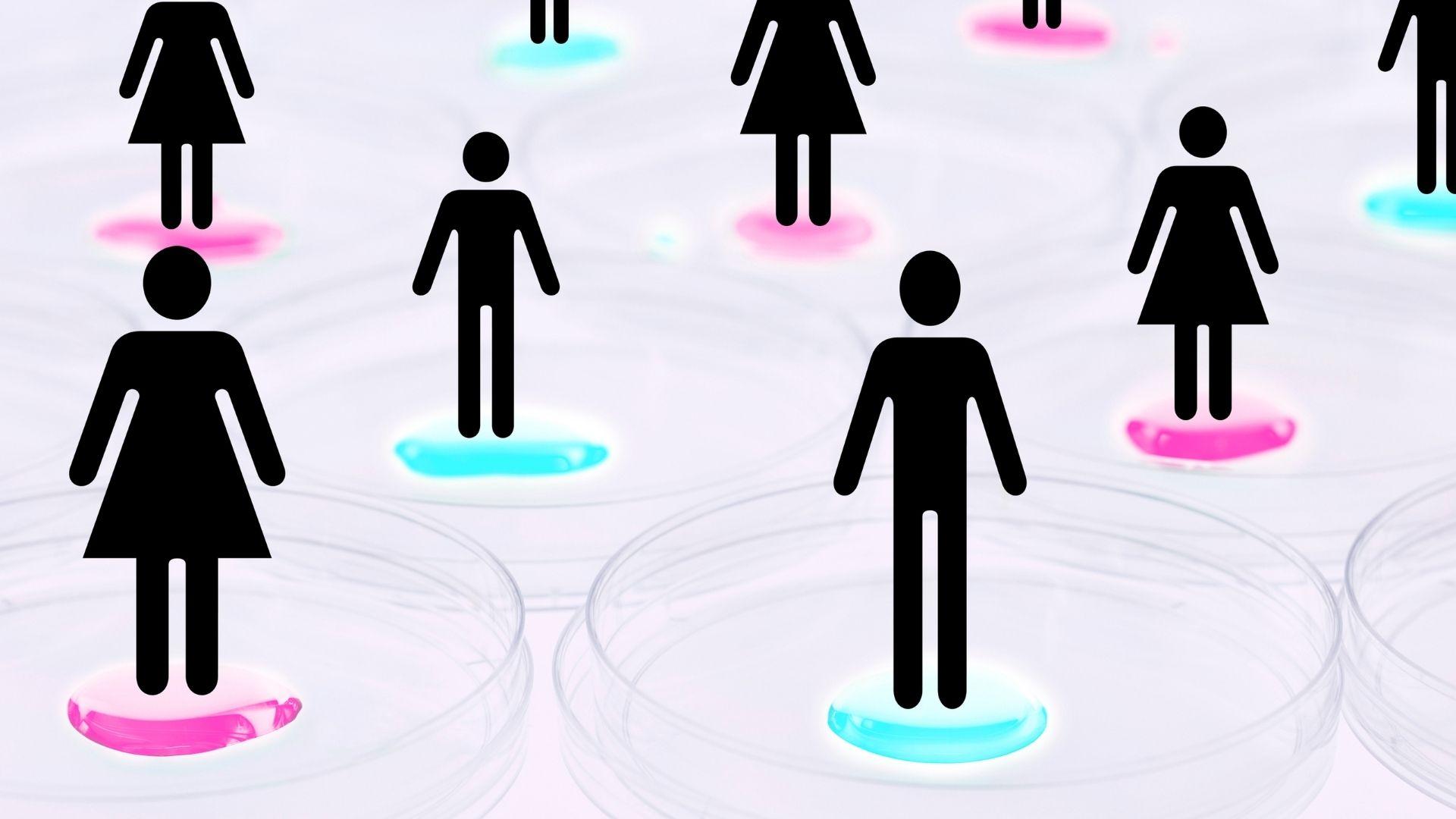 gender-balance.jpg