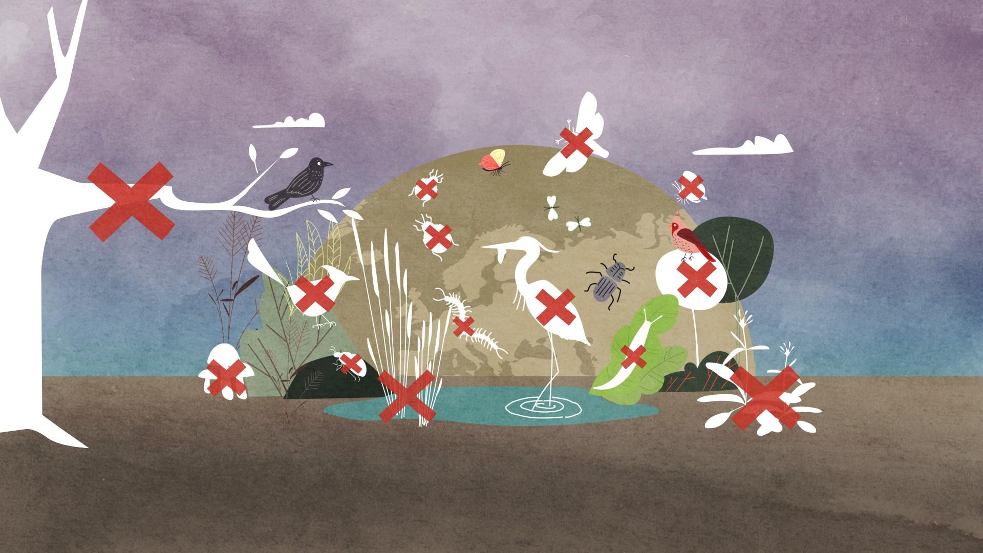 pesticides-animation-new.jpg