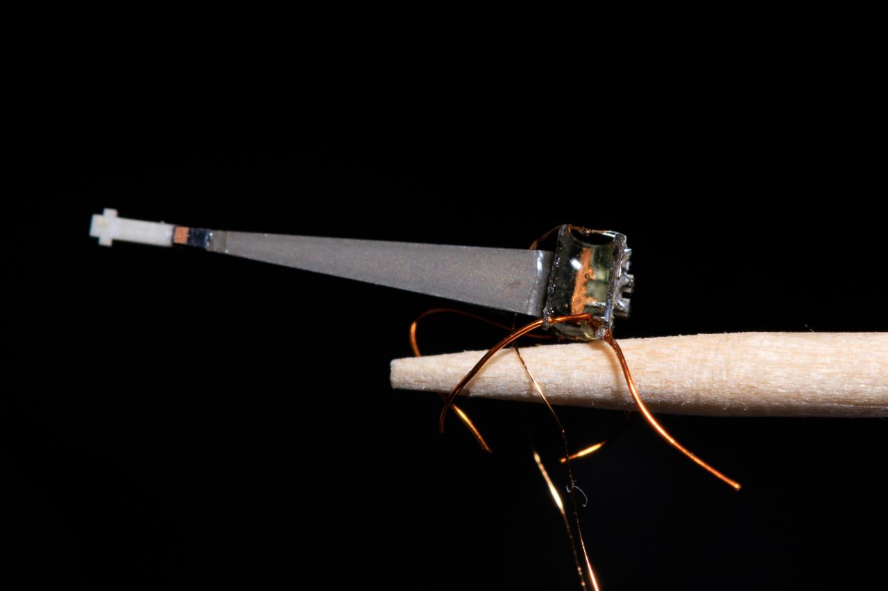robobee-1.jpg