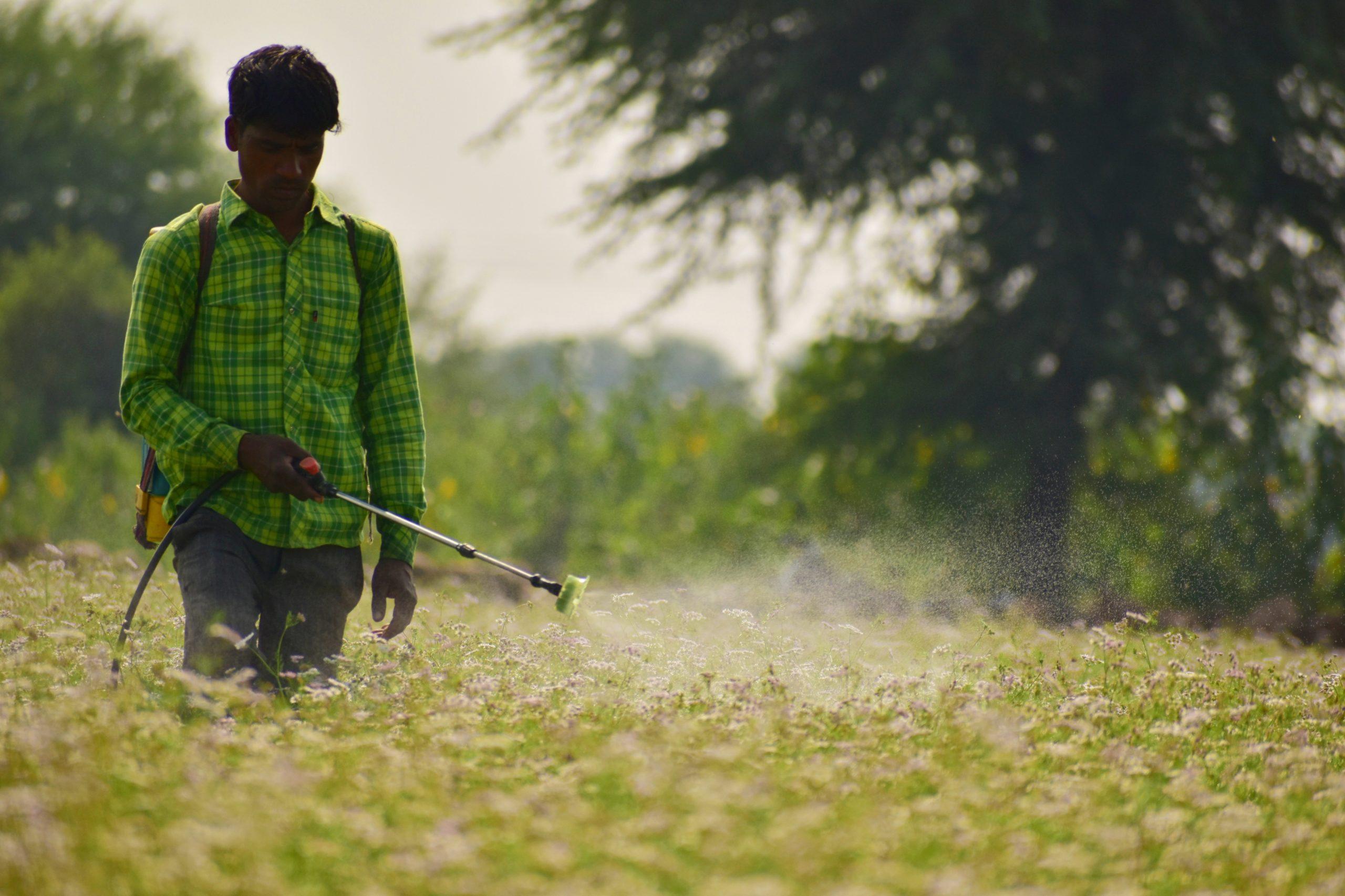 A-farmer-spraying-pesticides-in-a-field-351241-pixahive.jpg