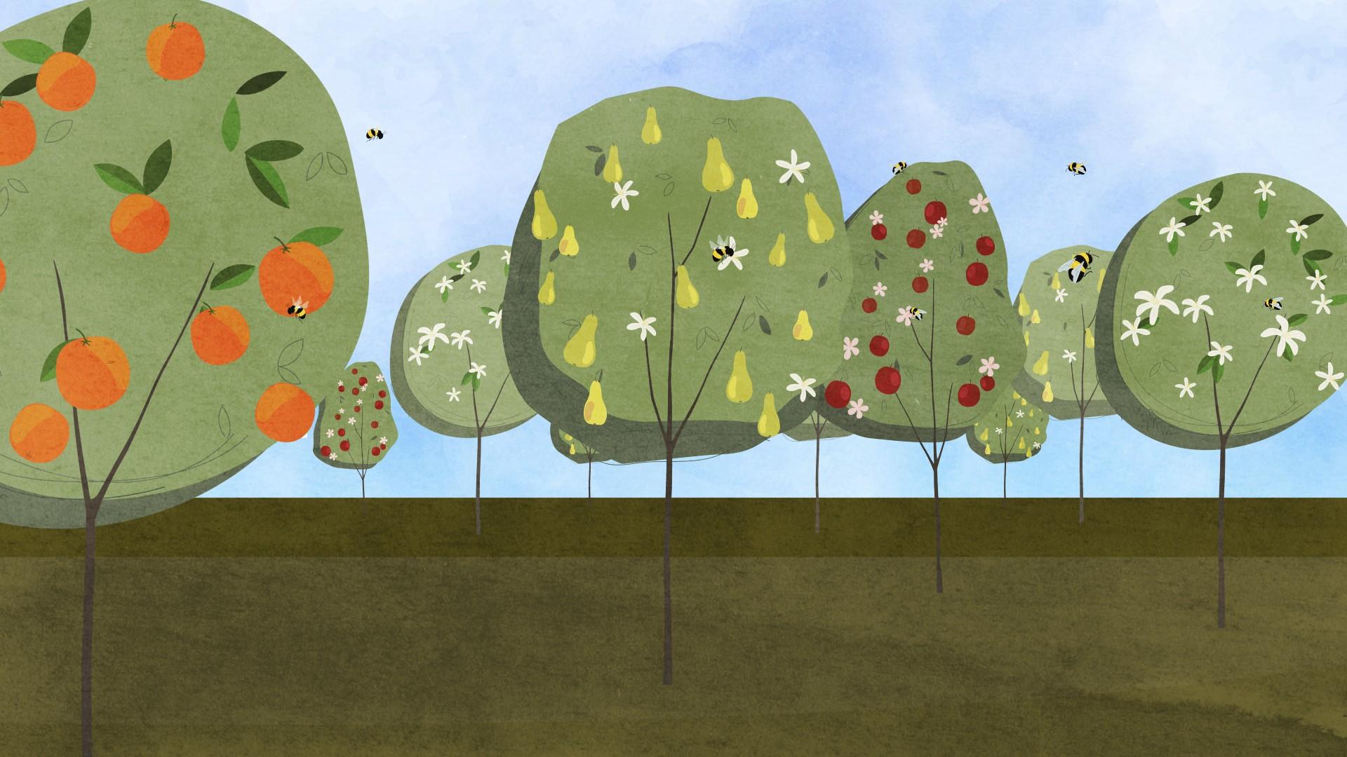 pesticides-animation-5.jpg